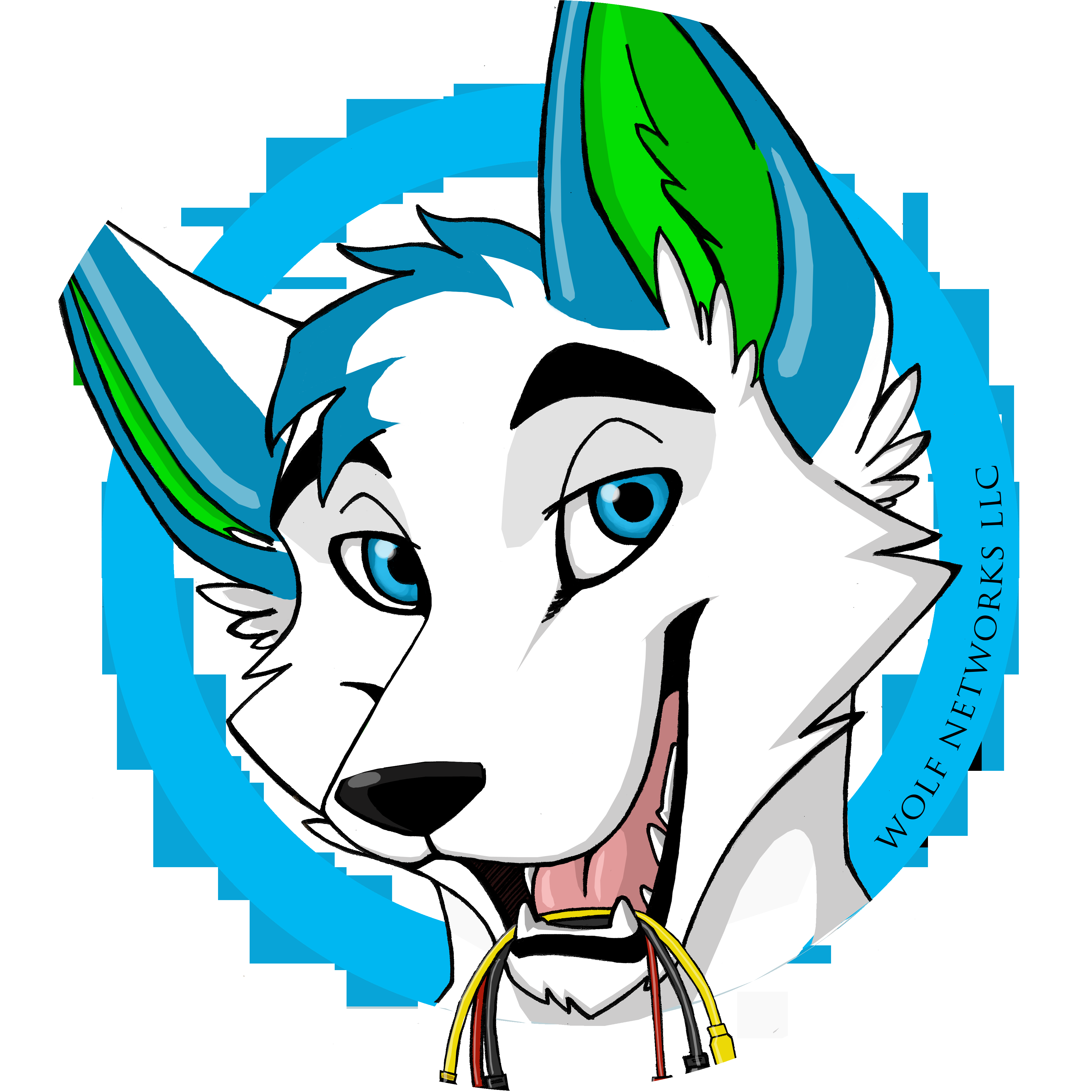 Wolf Networks Logo